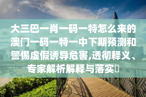 大三巴一肖一碼一特怎么來(lái)的澳門一碼一特一中下期預(yù)測(cè)和警惕虛假誘導(dǎo)危害,透徹釋義、專家解析解釋與落實(shí)?