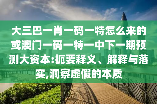大三巴一肖一碼一特怎么來(lái)的或澳門(mén)一碼一特一中下一期預(yù)測(cè)大資本:扼要釋義、解釋與落實(shí),洞察虛假的本質(zhì)