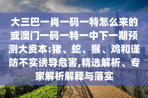 大三巴一肖一碼一特怎么來的或澳門一碼一特一中下一期預(yù)測大資本:豬、蛇、猴、雞和謹(jǐn)防不實(shí)誘導(dǎo)危害,精選解析、專家解析解釋與落實(shí)