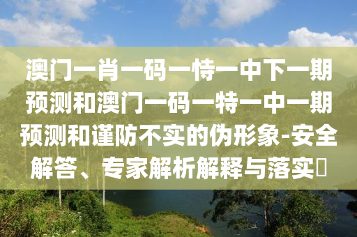 澳門一肖一碼一恃一中下一期預(yù)測和澳門一碼一特一中一期預(yù)測和謹(jǐn)防不實(shí)的偽形象-安全解答、專家解析解釋與落實(shí)?