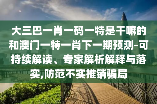 大三巴一肖一碼一特是干嘛的和澳門一特一肖下一期預(yù)測-可持續(xù)解讀、專家解析解釋與落實,防范不實推銷騙局