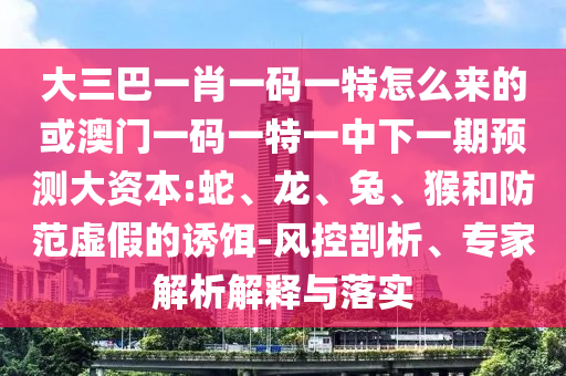 大三巴一肖一碼一特怎么來的或澳門一碼一特一中下一期預(yù)測大資本:蛇、龍、兔、猴和防范虛假的誘餌-風(fēng)控剖析、專家解析解釋與落實(shí)