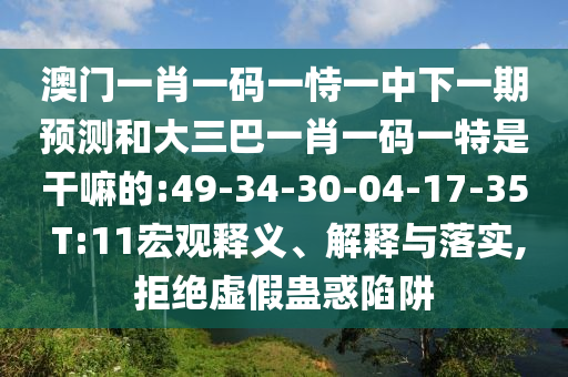 澳門一肖一碼一恃一中下一期預(yù)測(cè)和大三巴一肖一碼一特是干嘛的:49-34-30-04-17-35 T:11宏觀釋義、解釋與落實(shí),拒絕虛假蠱惑陷阱