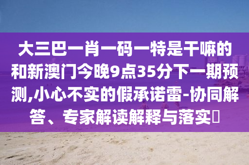 大三巴一肖一碼一特是干嘛的和新澳門(mén)今晚9點(diǎn)35分下一期預(yù)測(cè),小心不實(shí)的假承諾雷-協(xié)同解答、專(zhuān)家解讀解釋與落實(shí)?
